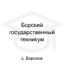 Логотип: Борский государственный техникум