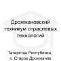 Логотип: Дрожжановский техникум отраслевых технологий